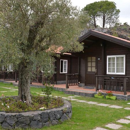 Etna Hut Bed and Breakfast Nicolosi Eksteriør billede